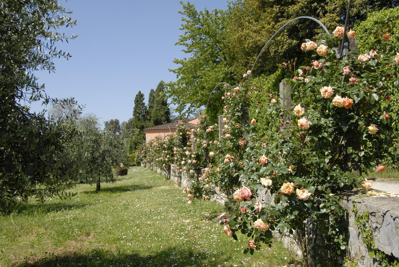 La Chiusa Di Nanni Piaggiori المظهر الخارجي الصورة